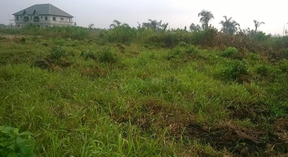 Green Forests Gbagada