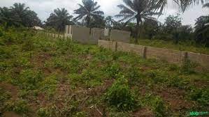 Green Forests Gbagada