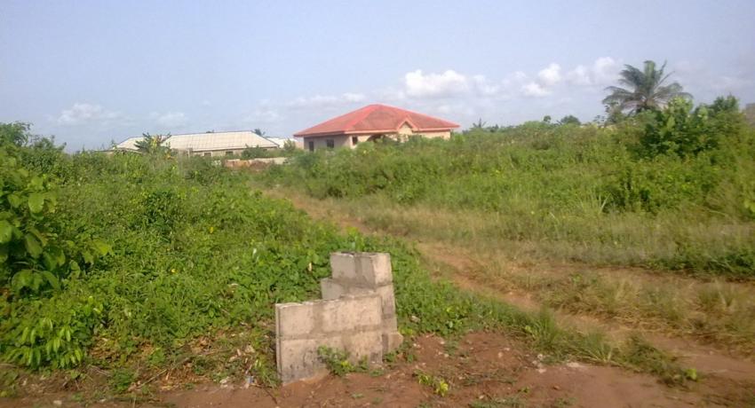 Green Forests Gbagada